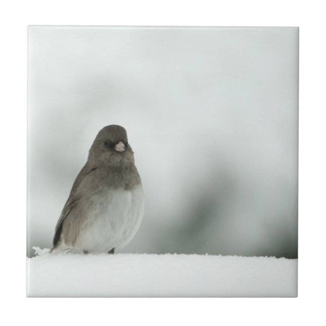 Carreau Oiseau d'hiver (Devant)