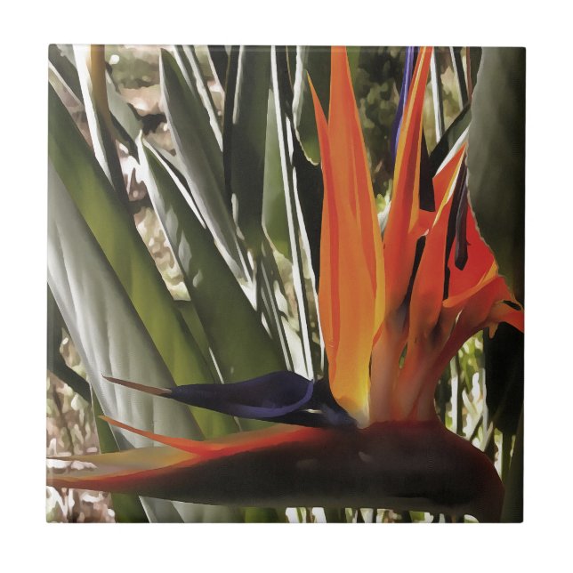 Carreau Oiseau du Paradis Strelitzia Reginae Acrylique Pai (Devant)