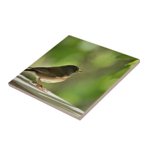 Carreau Oiseau en vert feuille arrière - plan