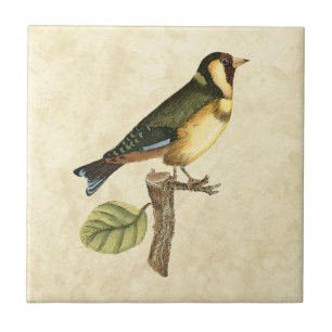 Carreau Oiseau jaune et vert été perché sur une petite