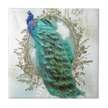 oiseau minable vintage de belle turquoise de paon