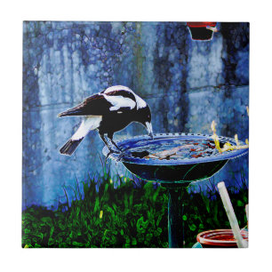 Carreau Oiseau potable