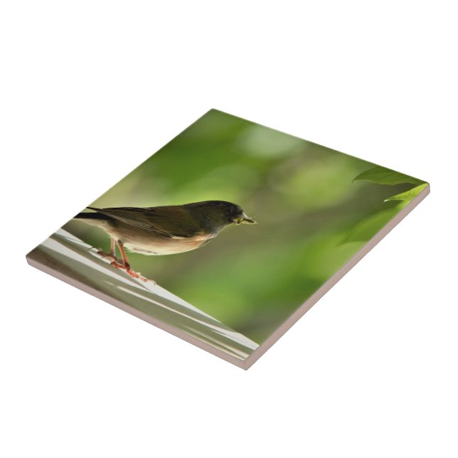 Carreau Oiseau sur fond de feuilles vertes (Côté)
