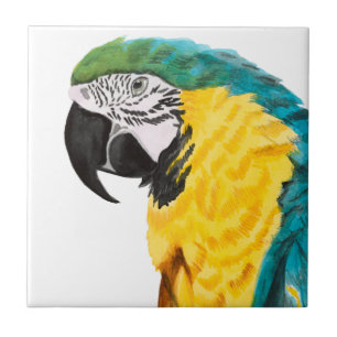 Carreau Oiseau tropical de perroquet