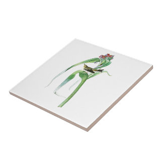 Carreau Oiseaux Amérique de John James Audubon de la