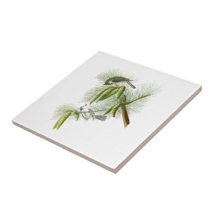 Carreau Oiseaux crêtés Amérique de John James Audubon d