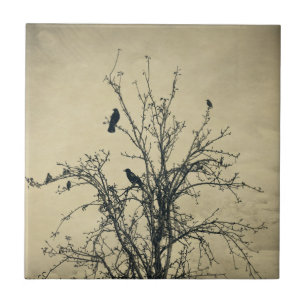 Carreau Oiseaux dans l'arbre -