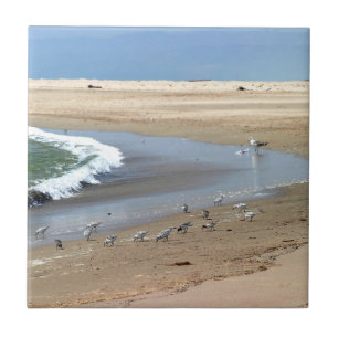 Carreau Oiseaux de plage