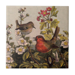 Carreau Oiseaux de printemps Robin Oiseaux rouges