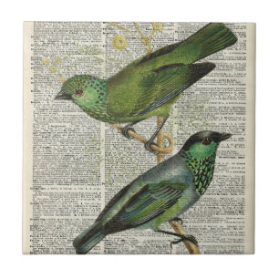 Carreau Oiseaux verts au-dessus de page vintage de livre