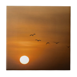 Carreau Oiseaux volant au coucher du soleil