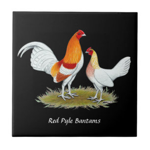 Carreau Old English Game Bantam : Red Pyle