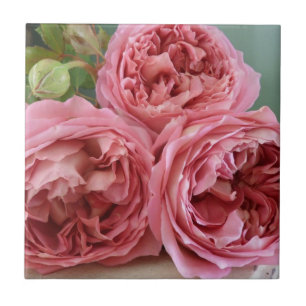 Carreau Old-fashioned anglais d'héritage de roses de Davi