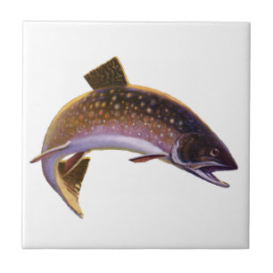 Carreau Omble de fontaine, pêche sportive vintage pêcheur