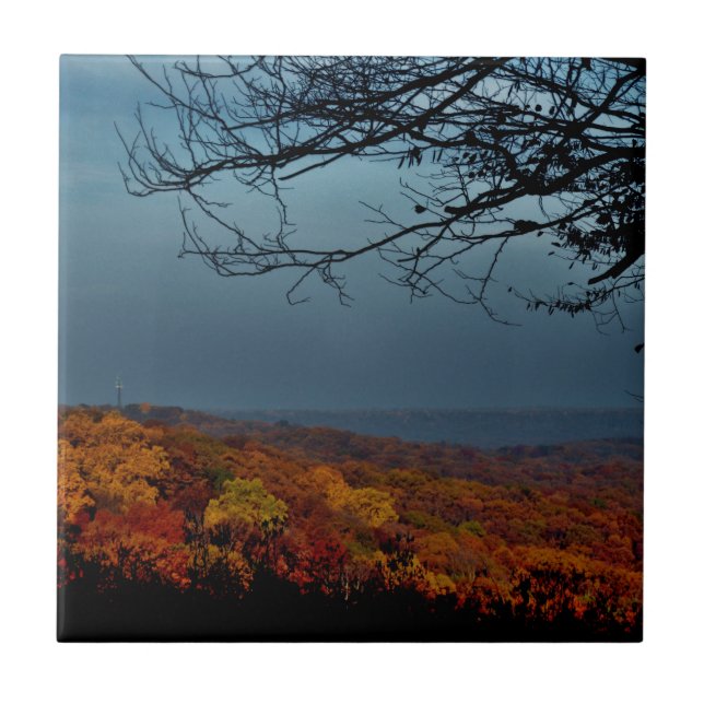 Carreau Ombre d'automne (Devant)