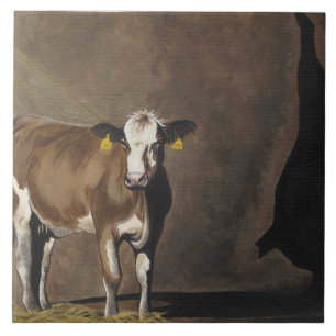 Carreau Ombre de vache