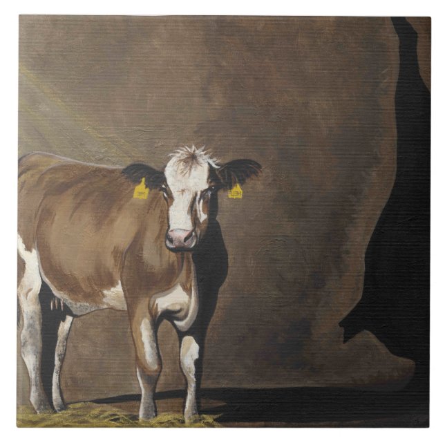 Carreau Ombre de vache (Devant)