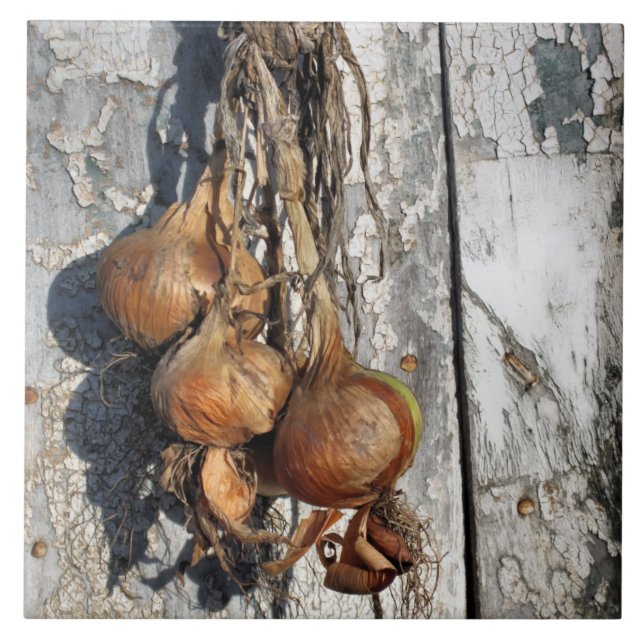 CARREAU ONIONS (Devant)