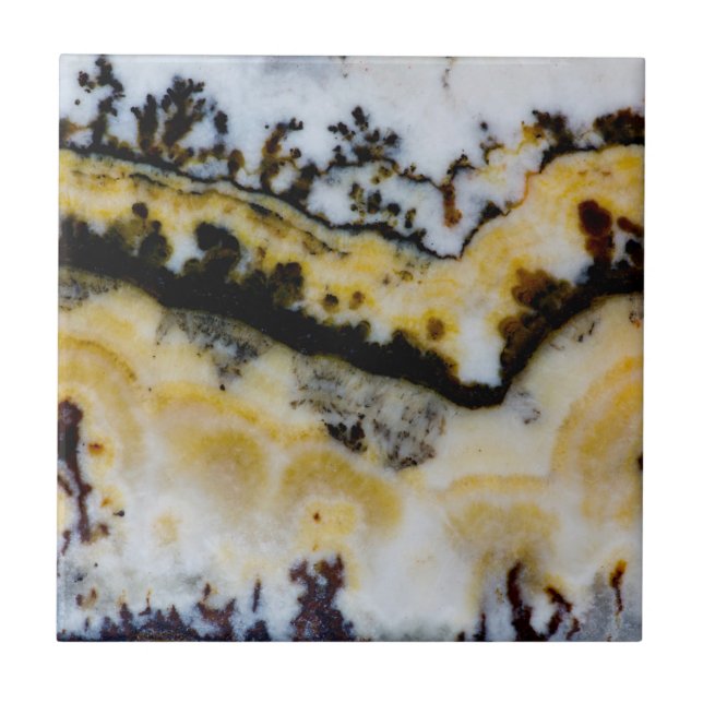 Carreau Onyx Lace d'Argent (Devant)