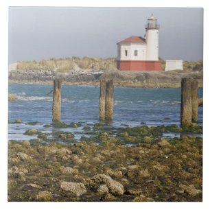 Carreau OR, côte de l'Oregon, Bandon, Coquille River 2