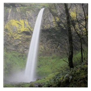 Carreau OR, Gorge du Columbia, Elowah Falls, McCord