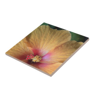 Carreau Orange Hibiscus Ruffle