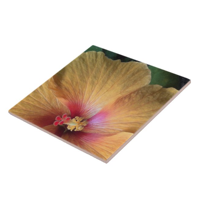 Carreau Orange Hibiscus Ruffle (Côté)