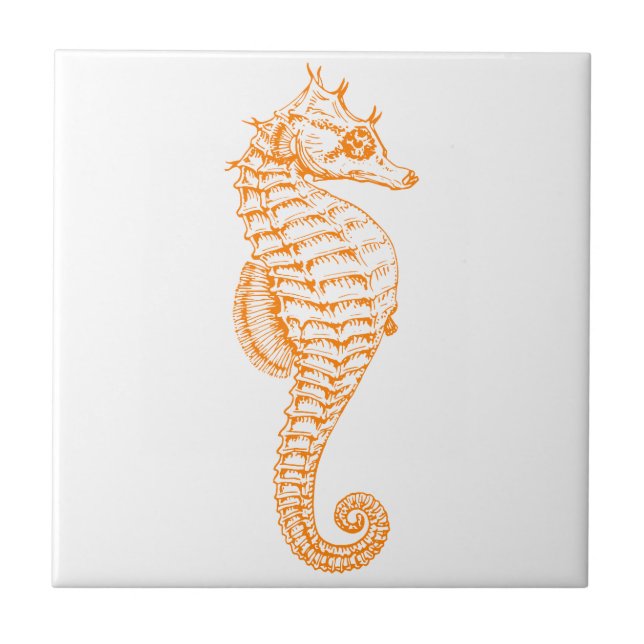 Carreau Orange Seahorse (Devant)