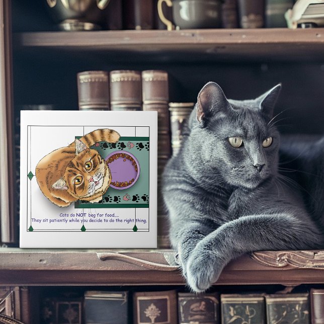 Carreau Orange Tabby Food Bowl cuisine (Créateur téléchargé)