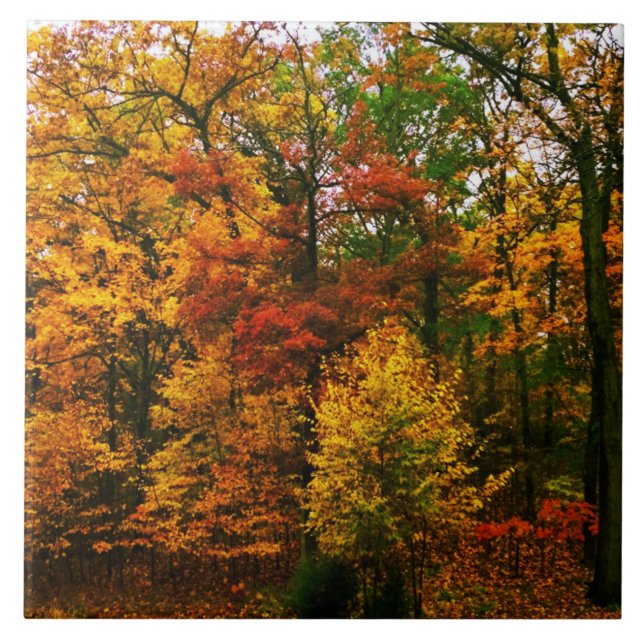 Carreau Oranges d'automne (Devant)
