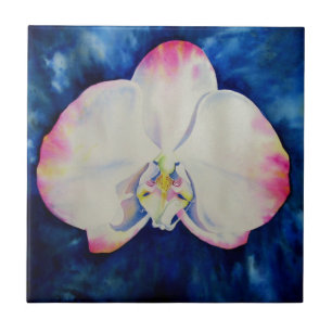 Carreau Orchid rose Blush