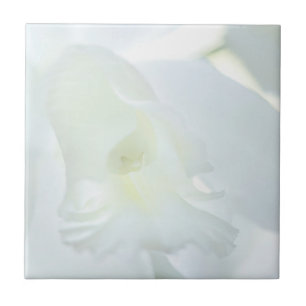 Carreau Orchidée blanche
