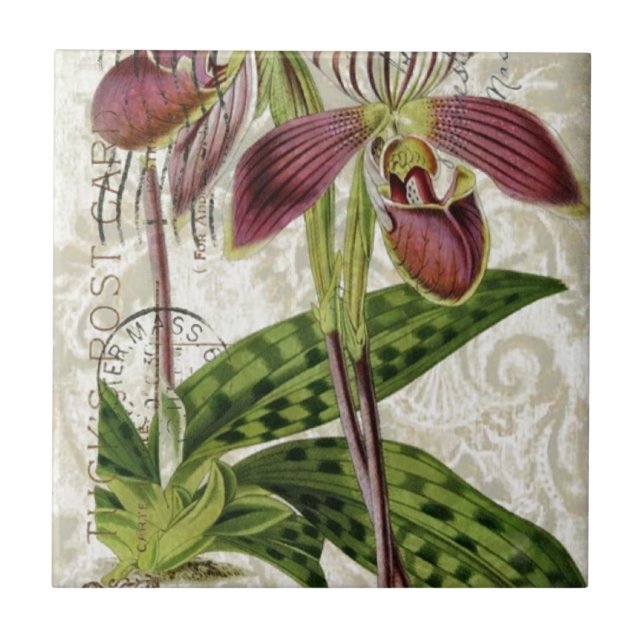 Carreau orchidée botanique française tropicale parisienne (Devant)