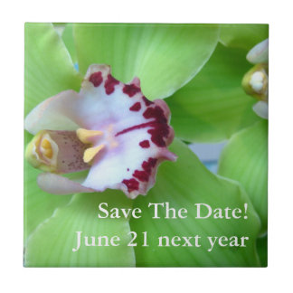 Carreau Orchidée du Cymbidium vert