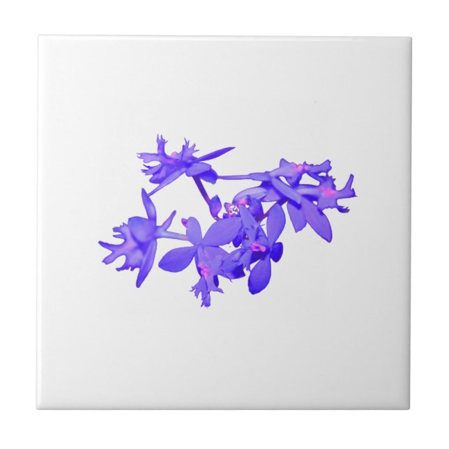 Carreau Orchidée moulue teintée par bleu de fleurs (Devant)