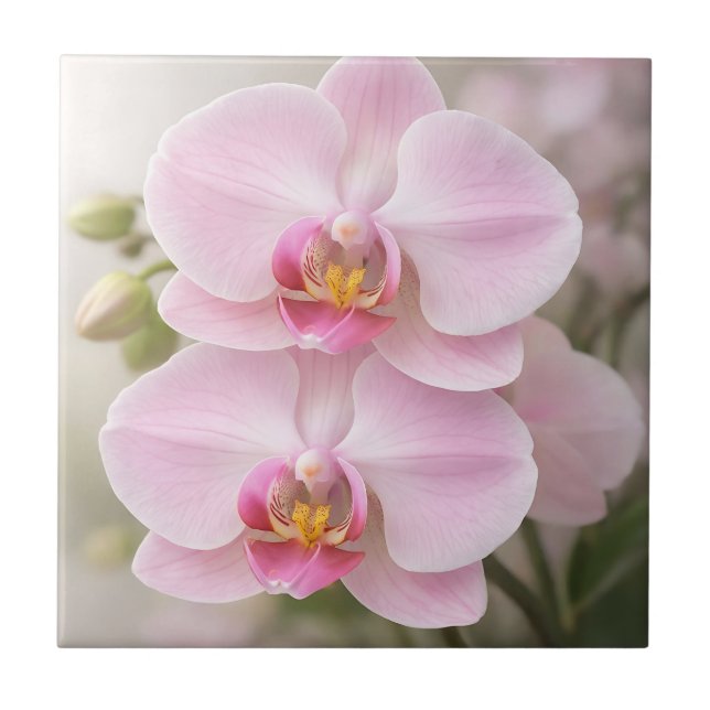 Carreau Orchidée Phalaenopsis Rose Clair (Devant)