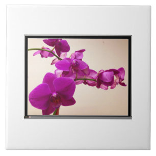 Carreau Orchidée rose