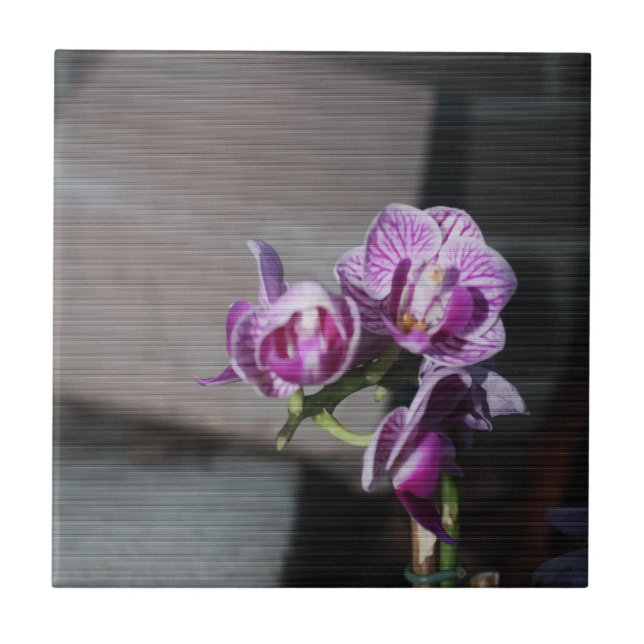 Carreau Orchidée violette (Devant)
