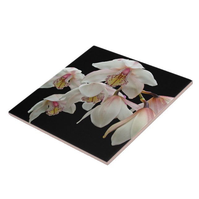 Carreau Orchidées crèmes et roses sur noir (Côté)