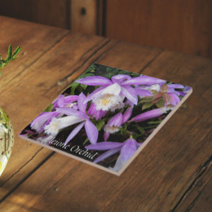 Carreau Orchidées de fenêtre Pleione Floral