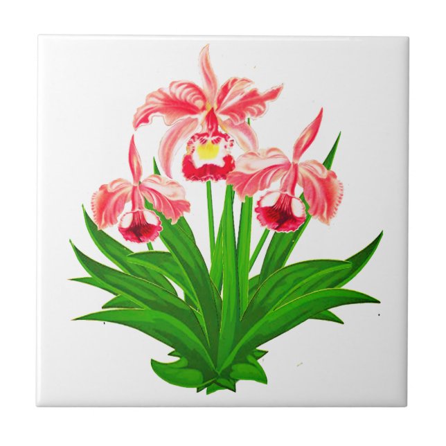 Carreau Orchidées sauvages - Orchidées roses de corail et  (Devant)