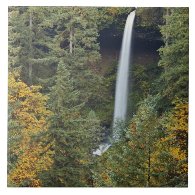 Carreau Oregon, Silver Falls State Park, North Falls (Devant)