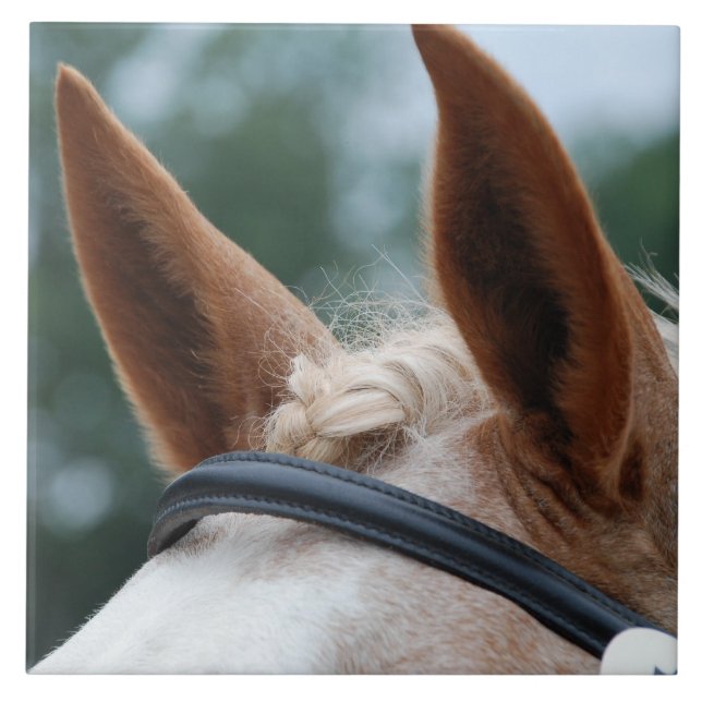 Carreau oreilles de cheval (Devant)