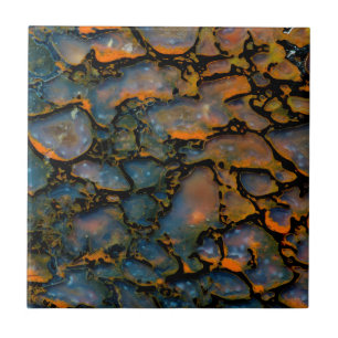 Carreau Os de dinosaure d'Orange Petrifié