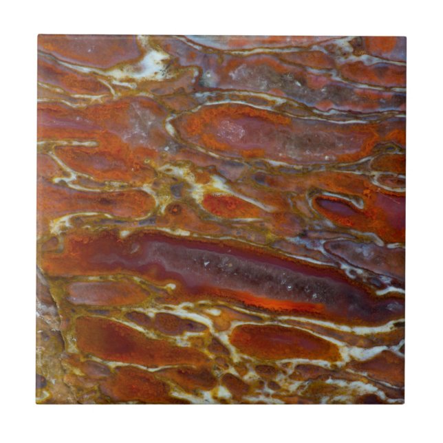 Carreau Os de dinosaure pétrifié (Devant)