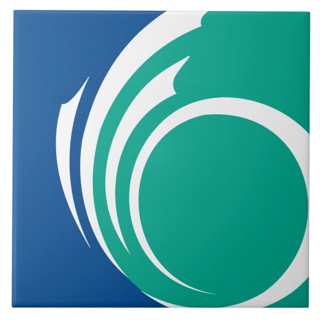 Carreau Ottawa Flag on Tile (Devant)