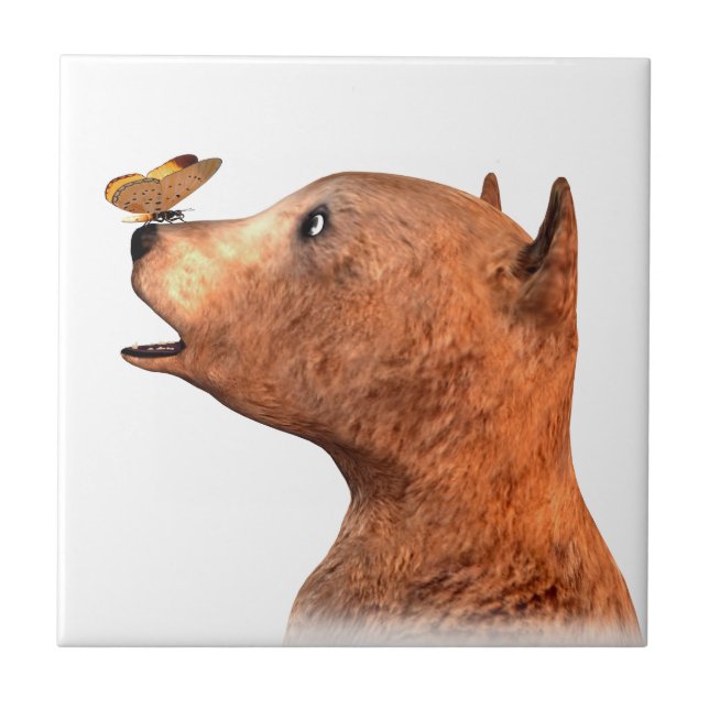 Carreau Ours Brown et papillon (Devant)