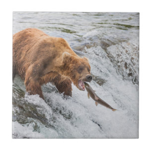 Carreau Ours brun attrape un saumon rouge