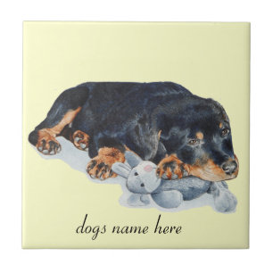 Carreau ours de nounours de caresse de chiot mignon de