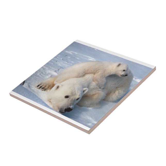 Carreau Ours polaire en céramique (Côté)